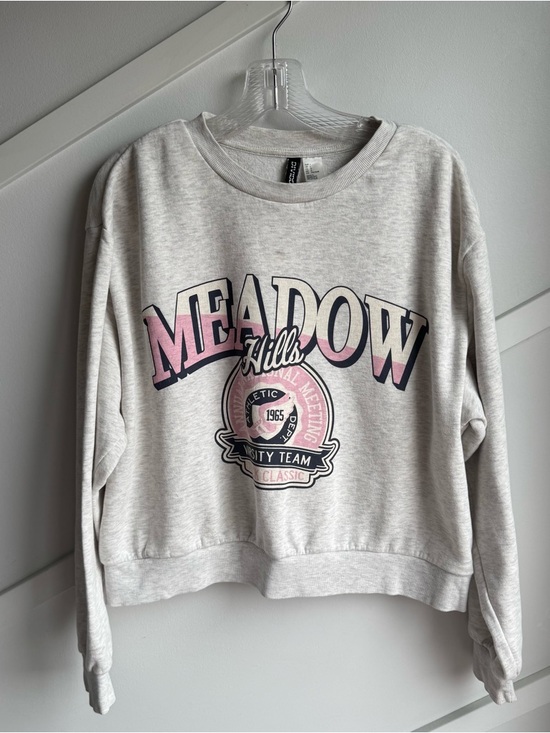 H&M Sweaters - H&M Meadow Hills Light Gray Graphic Sweatshirt